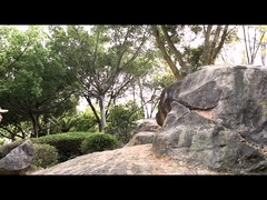 Sapatos de Segurança Tácticos