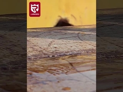 Botas de trabalho de segurança