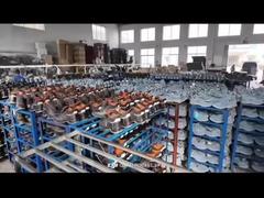 The Birth of a Pair of Shoes